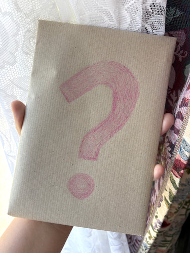 ❓ Mystery poster zine bundle ❓ [3 zines for $5!]